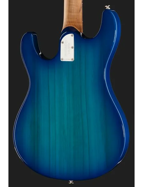 Music Man Steve Morse Standard Bl. Burst, detalje 5