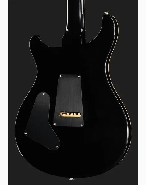 PRS 40th Anniv. Custom 24 SuZ, detalje 5