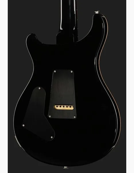 PRS 40th Anniversary Custom 24 SuZ, detalje 5