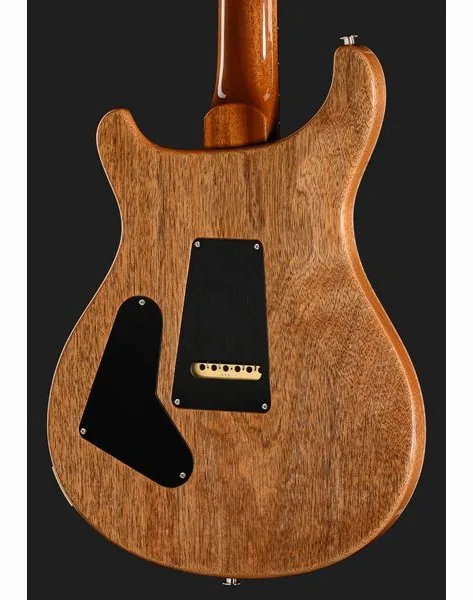 PRS 40th Anniversary Custom 24 TE, detalje 5