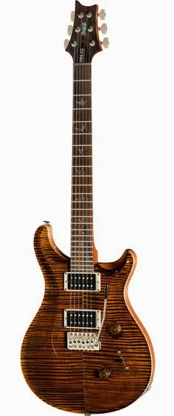 PRS 40th Anniversary Custom 24 TE set forfra