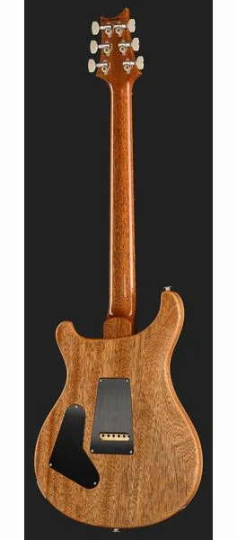 PRS Birds Of A Feather Custom 24 B, detalje 3