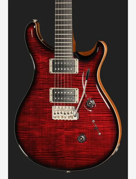 PRS Birds Of A Feather Custom 24 B, detalje 4