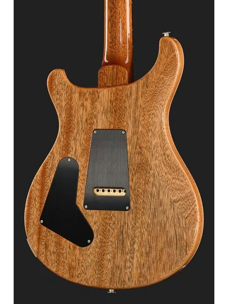 PRS Birds Of A Feather Custom 24 B, detalje 5