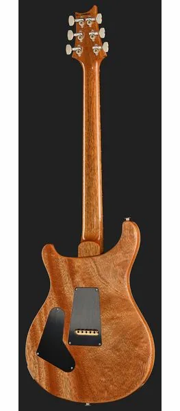 PRS Birds Of A Feather Custom 24 C, detalje 3