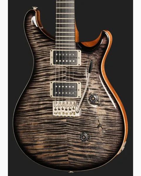 PRS Birds Of A Feather Custom 24 C, detalje 4