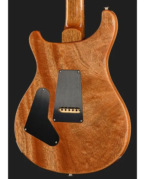 PRS Birds Of A Feather Custom 24 C, detalje 5