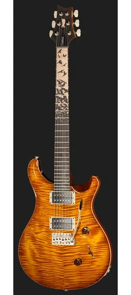 PRS Birds Of A Feather Custom 24 H, detalje 2
