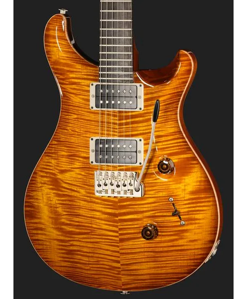 PRS Birds Of A Feather Custom 24 H, detalje 4
