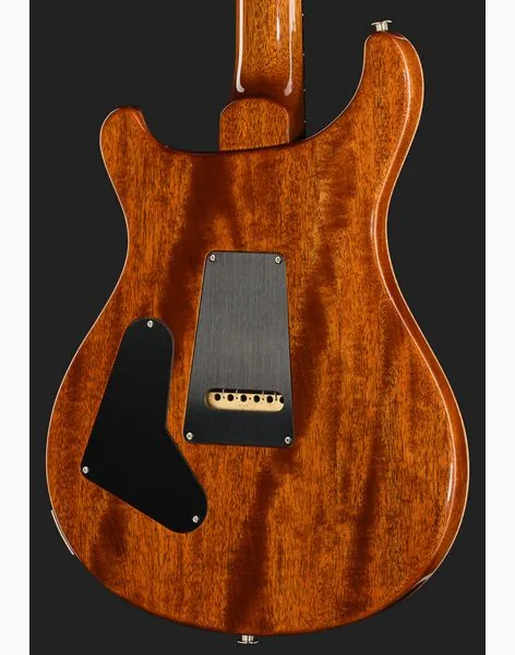 PRS Birds Of A Feather Custom 24 H, detalje 5