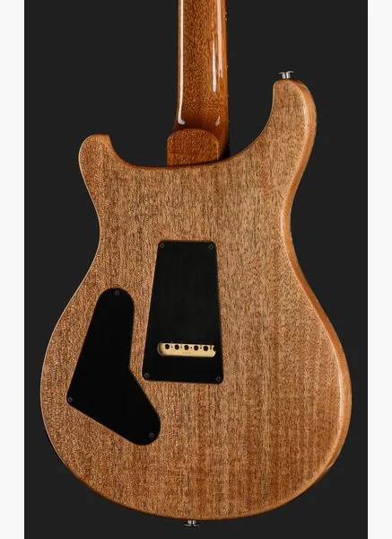 PRS Custom 24-08 Mango LTD FR/GB, detalje 5