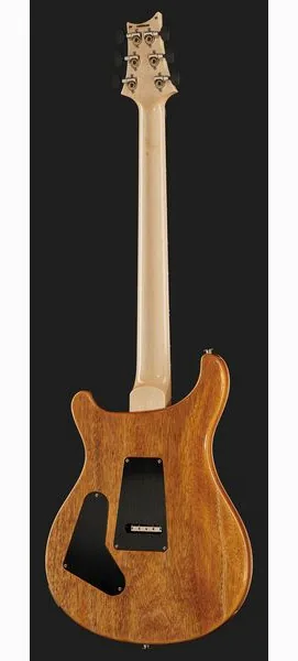 PRS Custom 24 Floyd 10 Top CH 2024, detalje 3