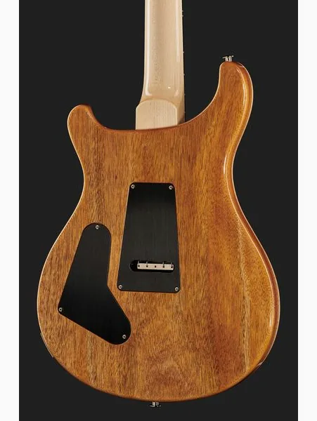 PRS Custom 24 Floyd 10 Top CH 2024, detalje 5
