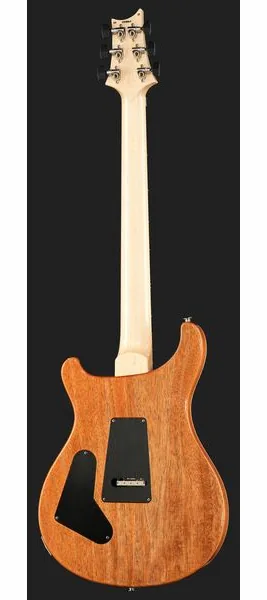 PRS Custom 24 Floyd 10 Top CH, detalje 3