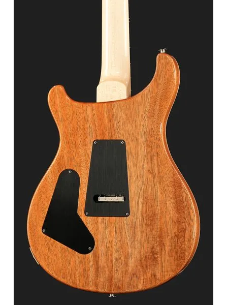 PRS Custom 24 Floyd 10 Top CH, detalje 5