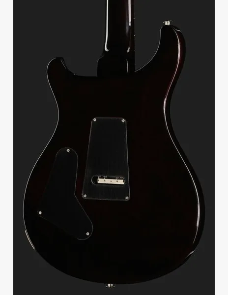 PRS Custom 24 Floyd BGWB, detalje 5
