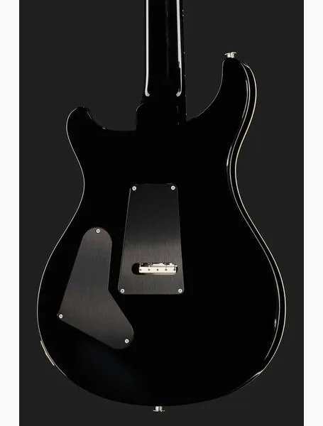 PRS Custom 24 Floyd FW, detalje 5
