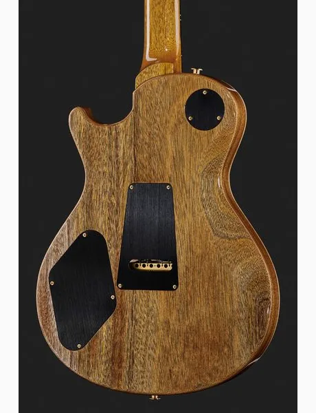 PRS Mark Tremonti CH 10 Top, detalje 5