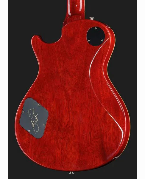 PRS McCarty 594 Joe Walsh LTD, detalje 5
