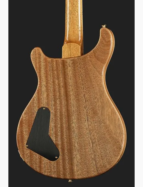 PRS McCarty FBJ MCIII 10 Top, detalje 5