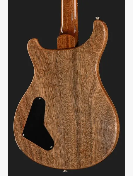 PRS Paul's Guitar Mango LTD TE, detalje 5