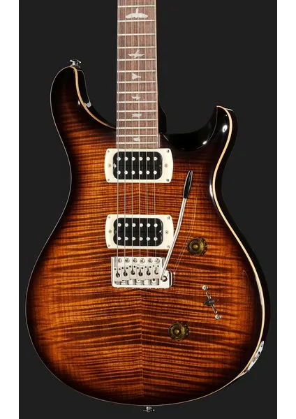 PRS SE Custom 24 BG, detalje 4