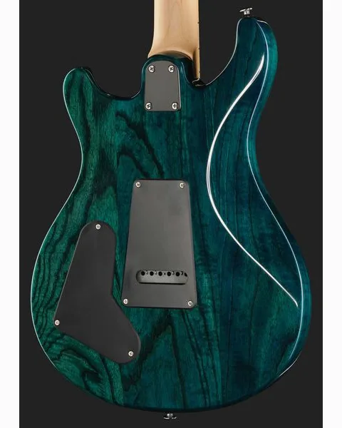 PRS SE Swamp Ash Special IB, detalje 5