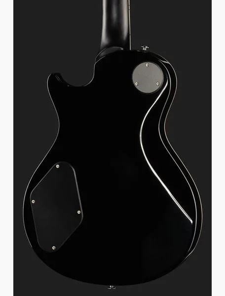 PRS SE Zach Myers EB, detalje 5