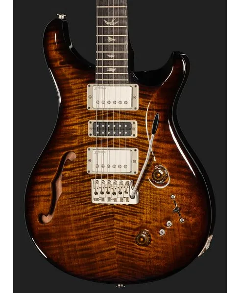 PRS Special Semi-Hollow BGWB, detalje 4