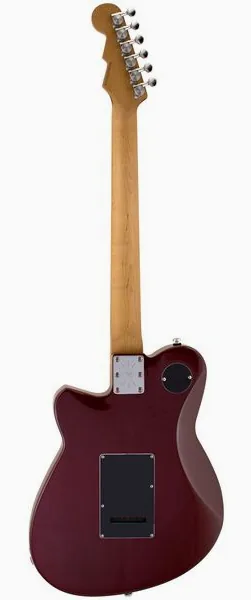 Reverend Reeves Gabrels RG-SUS MKII, detalje 2