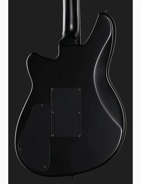 Reverend Vernon Reid Totem Talisman, detalje 5