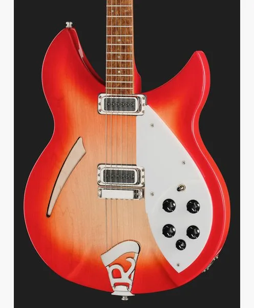 Rickenbacker 330 FG, detalje 4