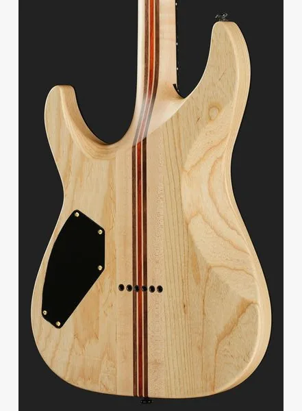 Schecter C-1 50th Anniversary GB, detalje 5