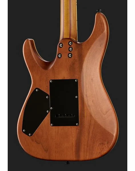 Schecter C-1 Exotic Spalted Maple SNVB, detalje 5