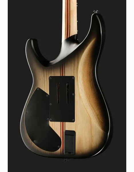 Schecter C-1 FR S Pale Moon SNBB, detalje 5