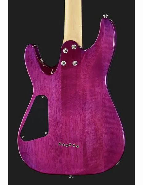 Schecter C-6 Plus EM, detalje 5