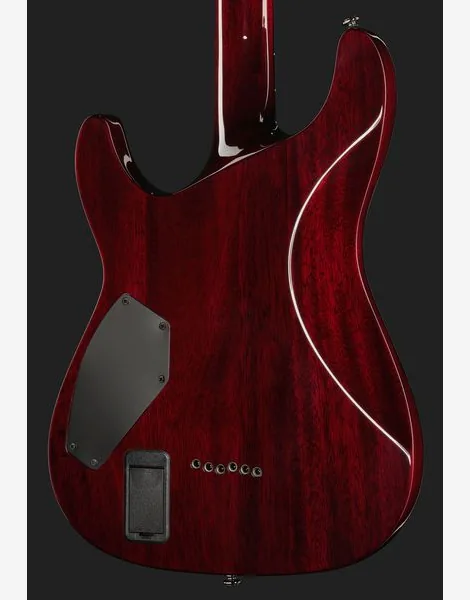 Schecter C-1 Hellraiser BCH, detalje 5