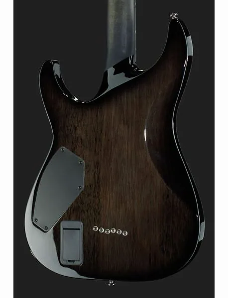 Schecter Hellraiser Hybrid C-1 TBB, detalje 5