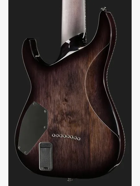 Schecter Hellraiser Hybrid C-8 TBB, detalje 5