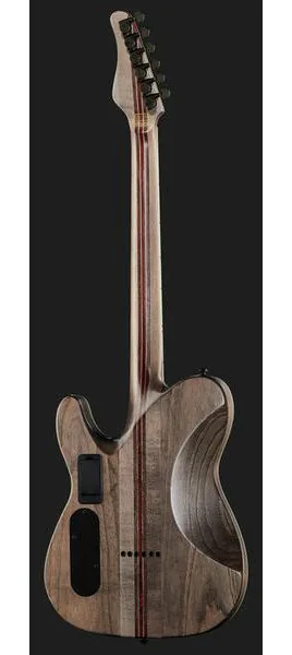 Schecter PT SLS Evil Twin, detalje 3