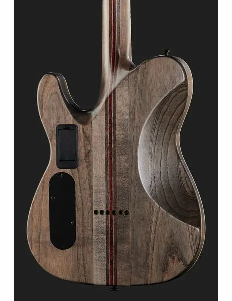 Schecter PT SLS Evil Twin, detalje 5