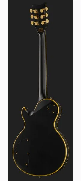 Schecter Solo II Custom ABSN, detalje 3