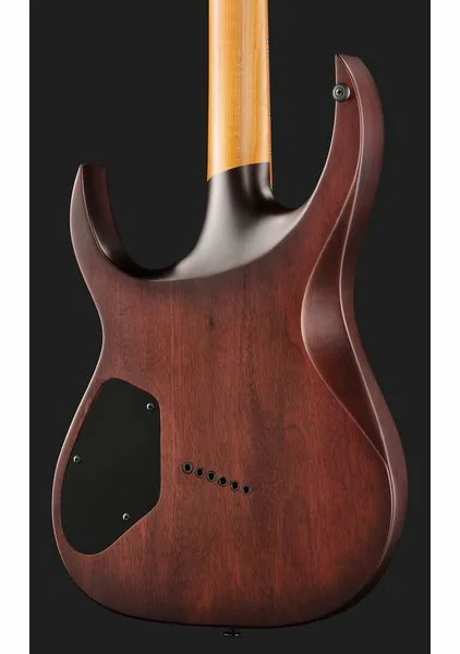 Solar Guitars A1.6FDPB-FF Flame Purple Burst, detalje 5