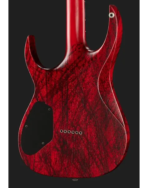 Solar Guitars A2.6Canibalismo+, detalje 5