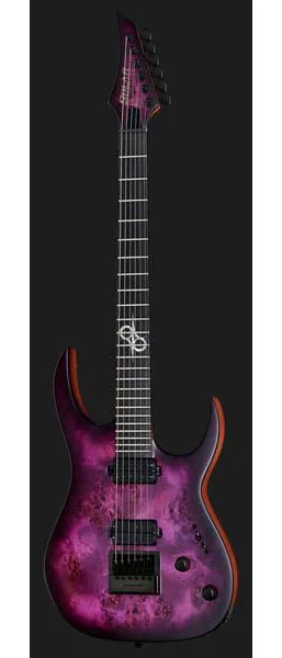 Solar Guitars S1.6PP, detalje 2