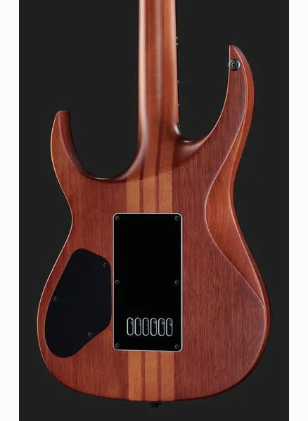 Solar Guitars S1.6PP, detalje 5