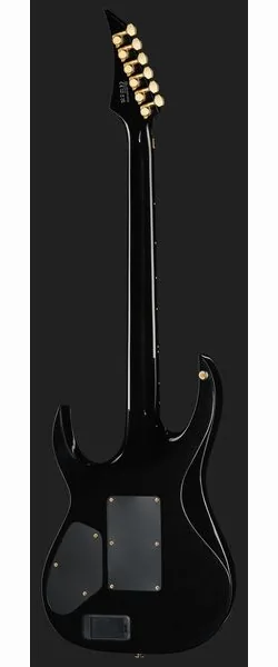 Solar Guitars SR1.6AFRMNS, detalje 3