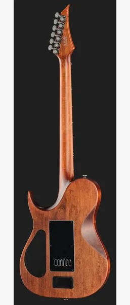 Solar Guitars T1.6AD Aged Natural, detalje 3