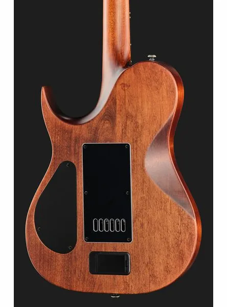 Solar Guitars T1.6AD Aged Natural, detalje 5