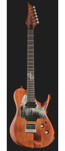 Solar Guitars T1.6D Aged Natural, detalje 2